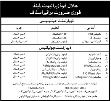 dae electrical jobs in hilal foods pvt ltd