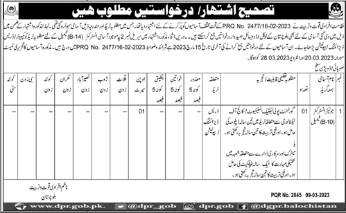 DAE Dress Designing or Beautician in DPR Baluchistan