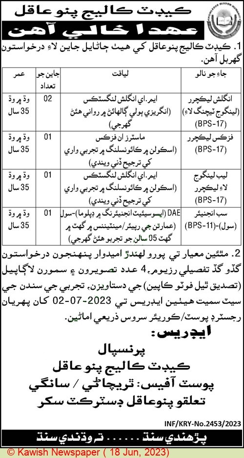 DAE Civil Job in Cadet College Pannu Aqil as Sub Engineer